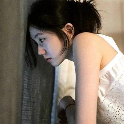 太阳花