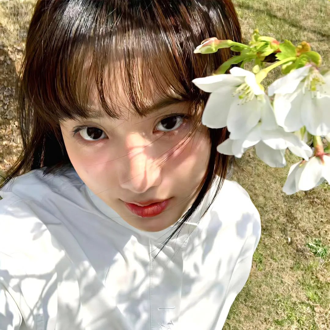 阿莱塔街388号