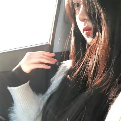 老鼠爱上猫
